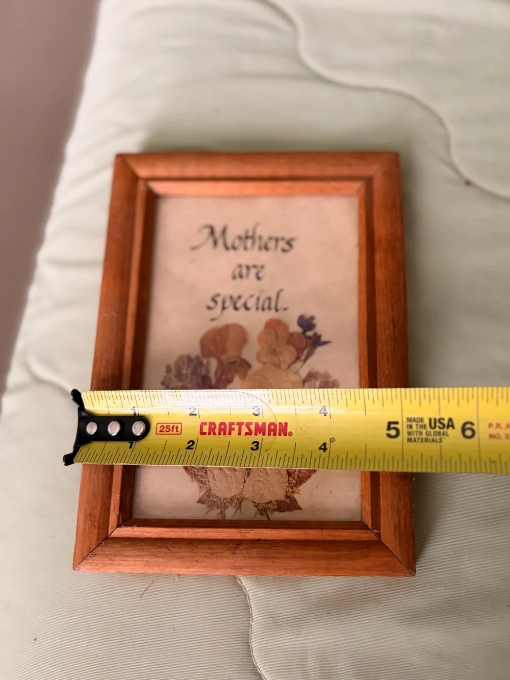 Wood Framed Dried Pressed Florals Wall Art - Mothers Are Special Charming Decor